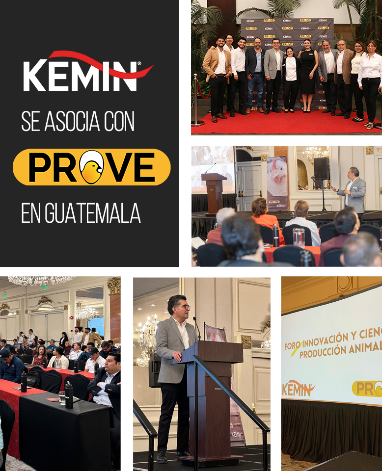Lanzamiento Kemin