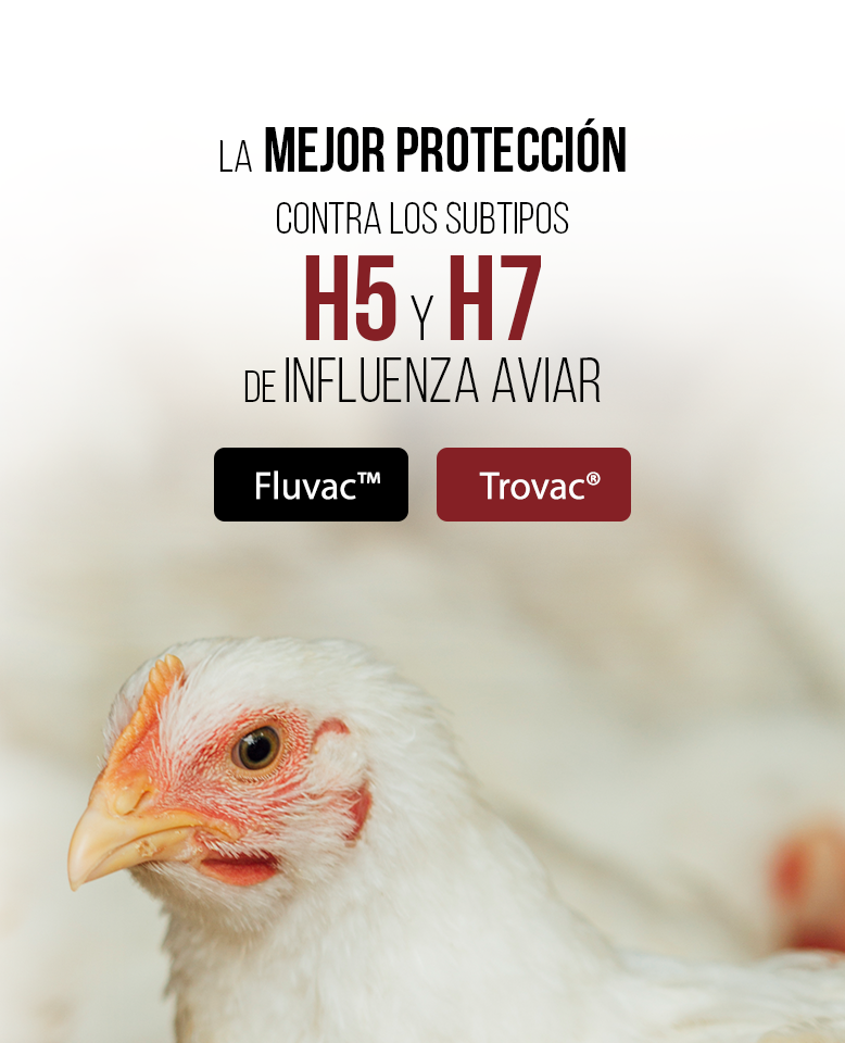 Fluvac y Trovac