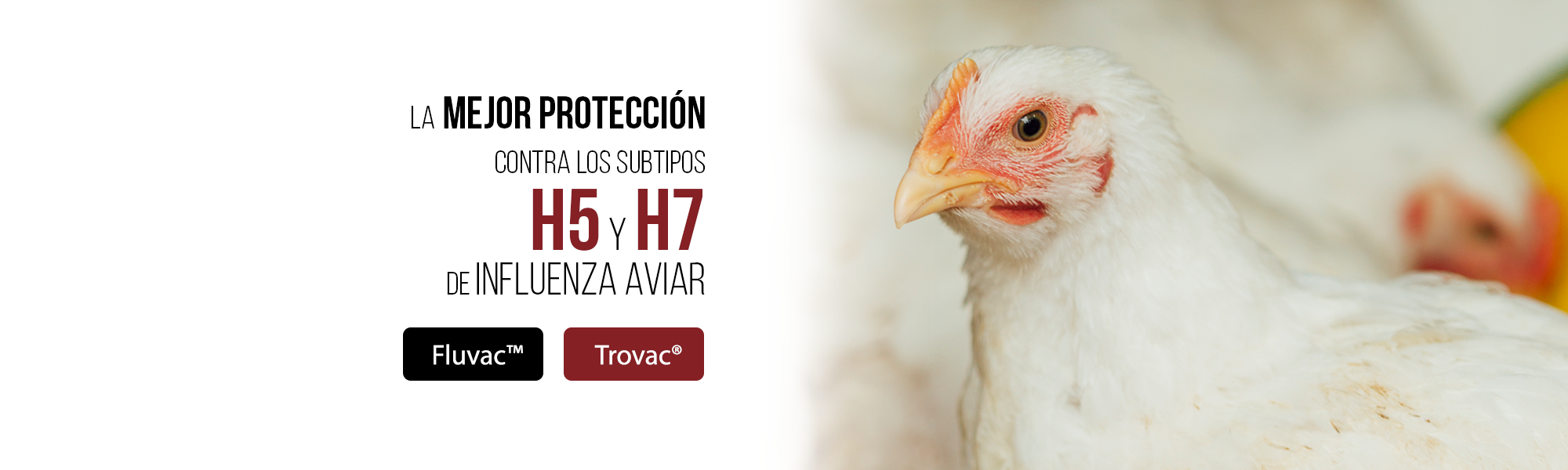 Fluvac y Trovac