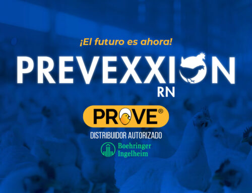 PREVEXXION RN
